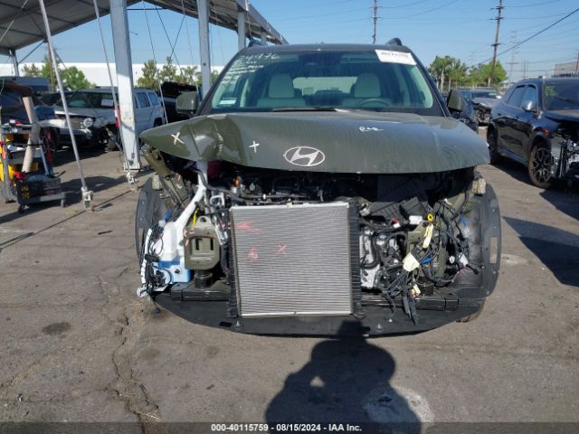 5NMP54GL0RH039904 Hyundai Santa Fe Calligraphy