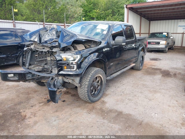 Ford F-150 Xlt 2016 1FTEW1EG1GKE11941 Image 2