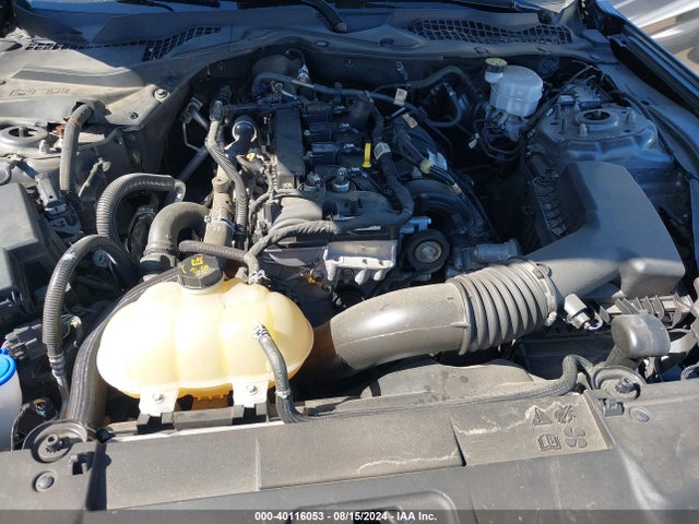 Ford Mustang Ecoboost Fastback 2021 1FA6P8TH6M5148416 Image 10
