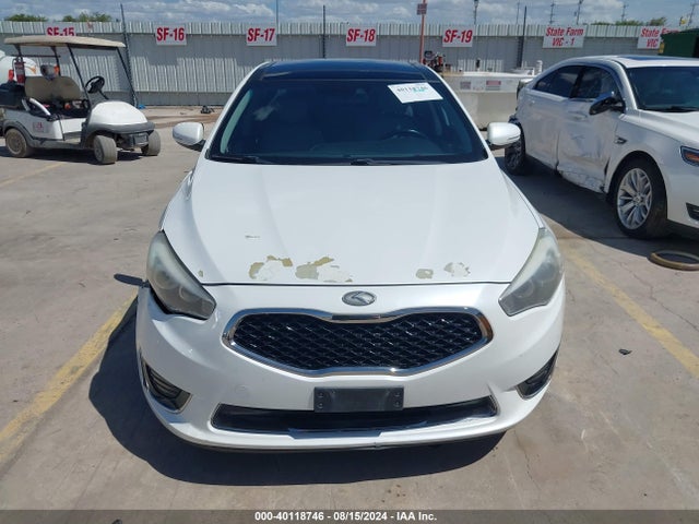 KIA Cadenza Limited 2014 KNALN4D71E5152020 Image 12