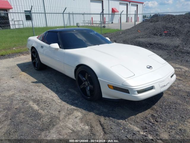 1991 CHEVROLET CORVETTE 1G1YY2382M5101132