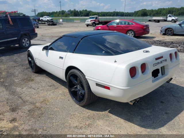 1991 CHEVROLET CORVETTE 1G1YY2382M5101132 Photo 2