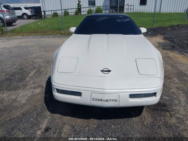 1991 CHEVROLET CORVETTE 1G1YY2382M5101132 Photo 5