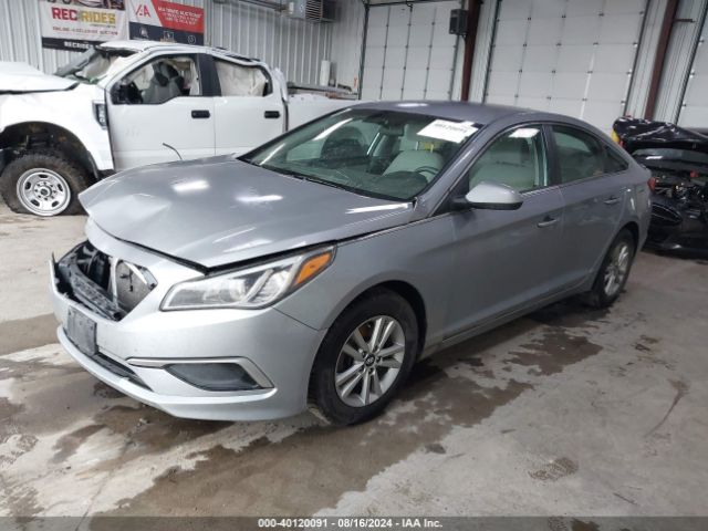 5NPE24AF5HH493960 Hyundai Sonata