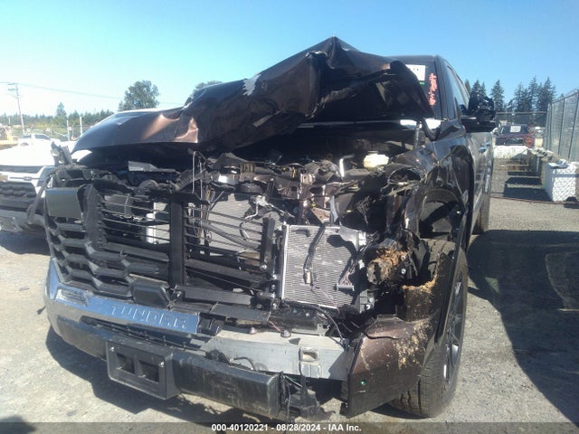 Toyota Tundra 1794 Edition 2023 5TFMA5EC8PX017046 Image 18