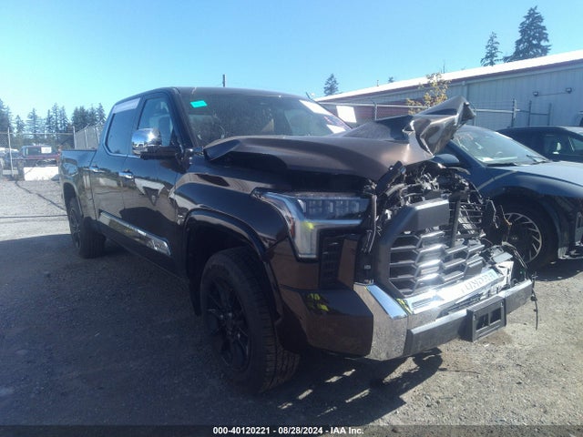 Toyota Tundra 1794 Edition 2023 5TFMA5EC8PX017046 Image 19