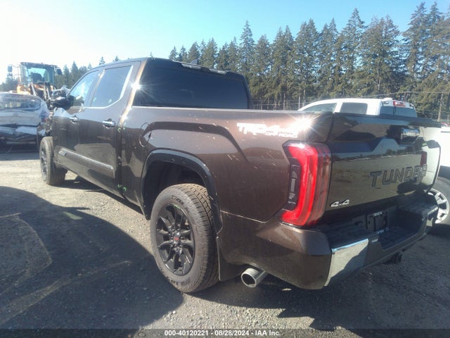 Toyota Tundra 1794 Edition 2023 5TFMA5EC8PX017046 Image 3
