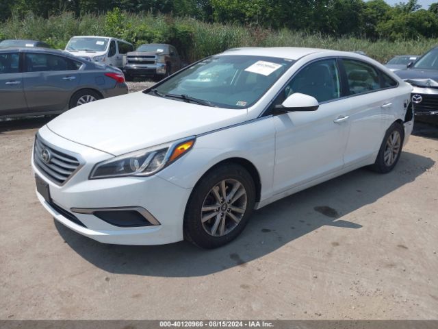 5NPE24AF9HH595164 Hyundai Sonata