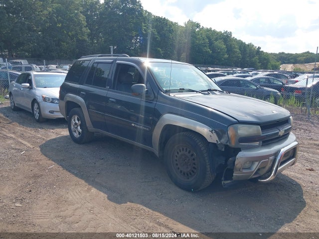 2003 CHEVROLET TRAILBLAZER 1GNDT13S132291393