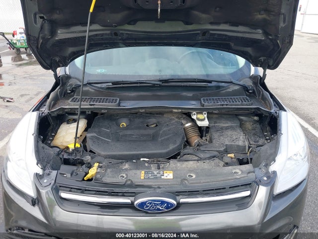 Ford ESCAPE SE 2016 1FMCU9G9XGUC13014 Image 10