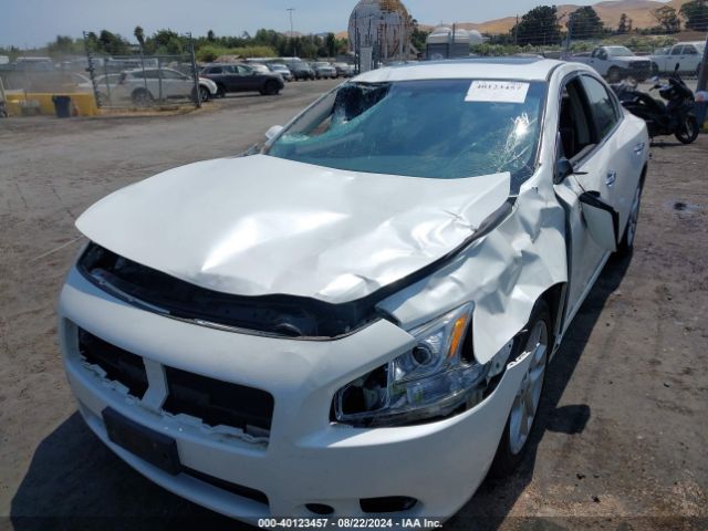 1N4AA5AP8EC464093 Nissan Maxima 3.5 S/3.5 Sv