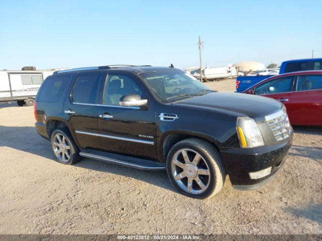 1GYS3BEF8ER185887 Cadillac Escalade Luxury