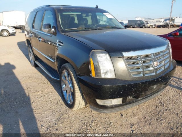 1GYS3BEF8ER185887 Cadillac Escalade Luxury