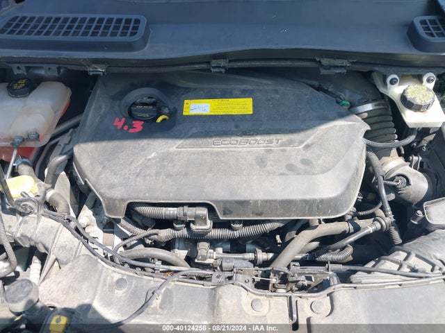 Ford ESCAPE SE 2015 1FMCU0GX2FUC22900 Image 10