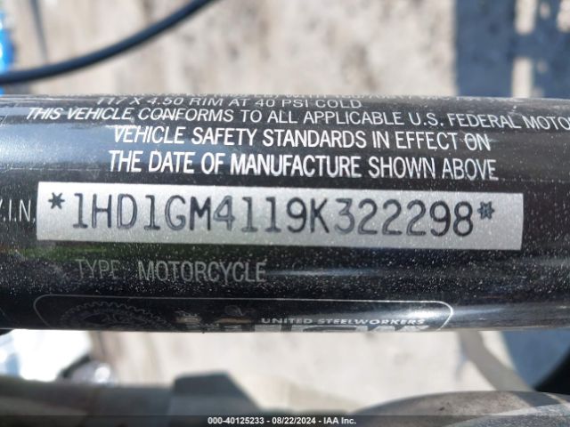 2009 HARLEY-DAVIDSON FXD 1HD1GM4119K322298 Photo 9