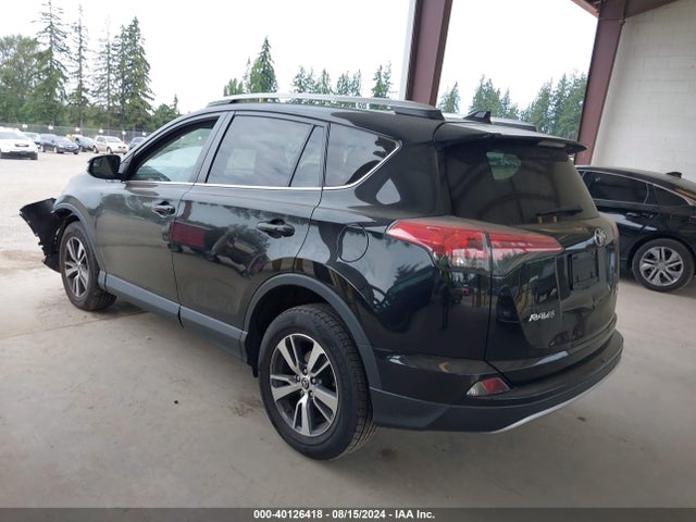 Toyota Rav4 Xle 2016 2T3RFREV1GW531941 Image 3