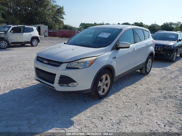 Ford ESCAPE SE 2014 1FMCU0GX7EUA79179 Image 2