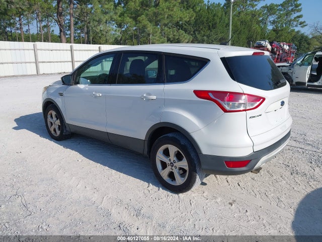 Ford ESCAPE SE 2014 1FMCU0GX7EUA79179 Image 3