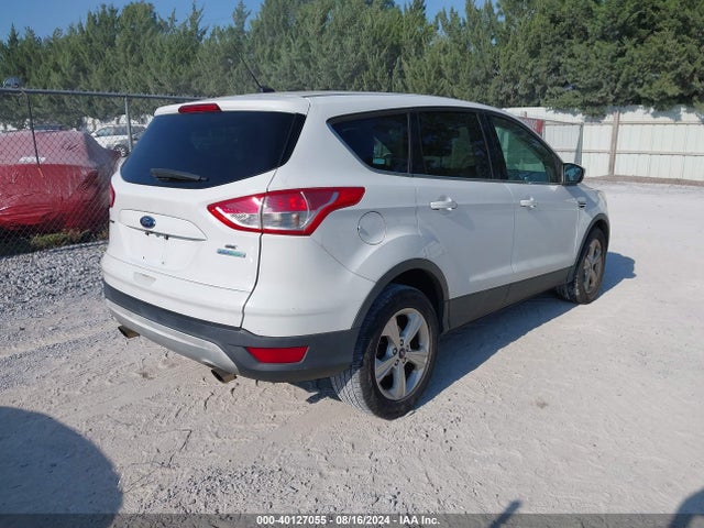 Ford ESCAPE SE 2014 1FMCU0GX7EUA79179 Image 4