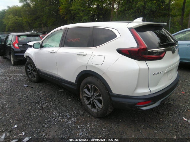 Honda Cr-v Awd Ex 2020 2HKRW2H59LH637901 Image 3