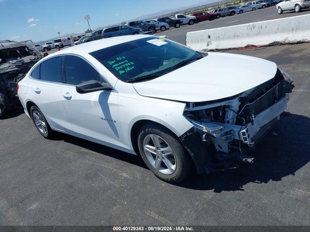 2019 1G1ZB5ST1KF128827 main image