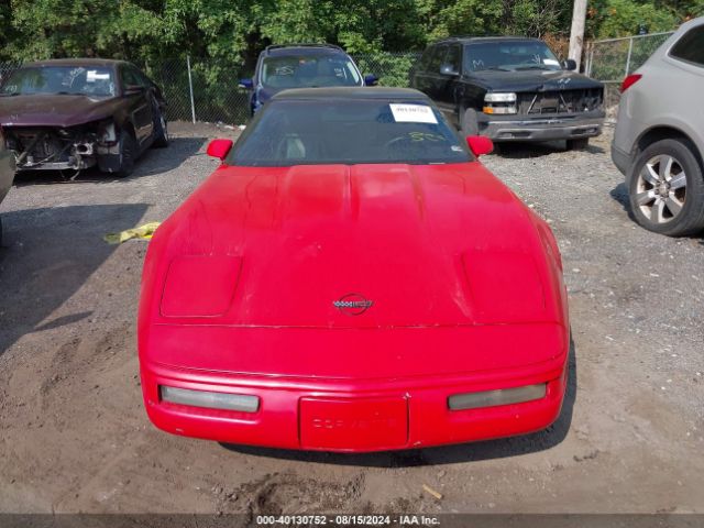 1992 CHEVROLET CORVETTE 1G1YY23P8N5112483 Photo 5