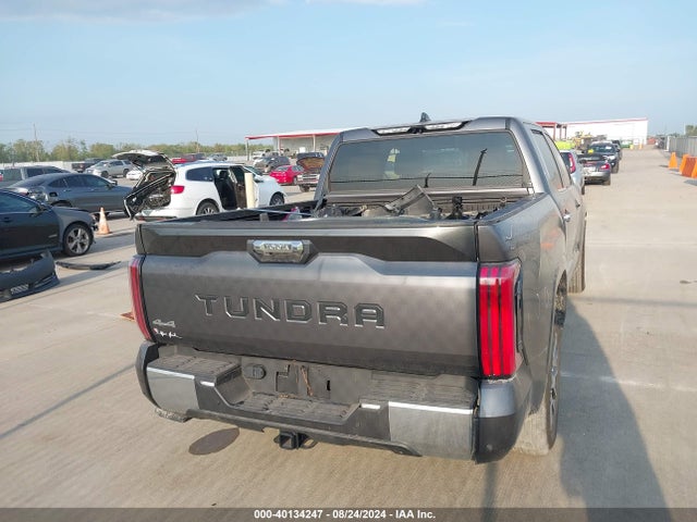 Toyota Tundra 1794 Edition 2023 5TFMA5DB5PX120501 Image 17