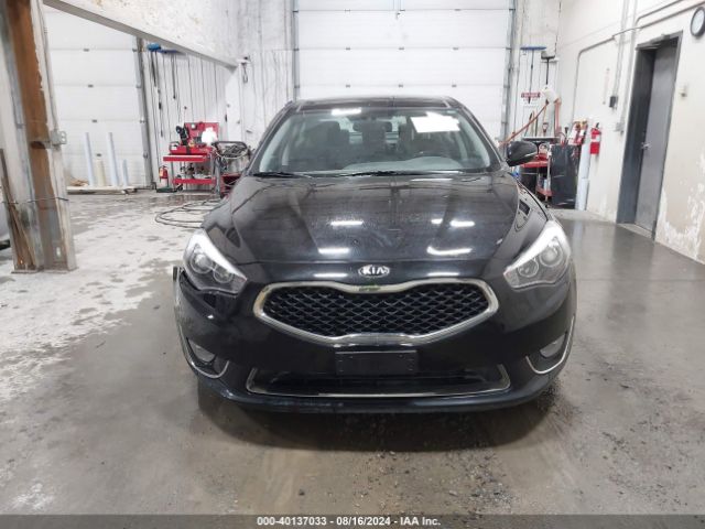 KNALN4D78F5173237 KIA Cadenza Premium