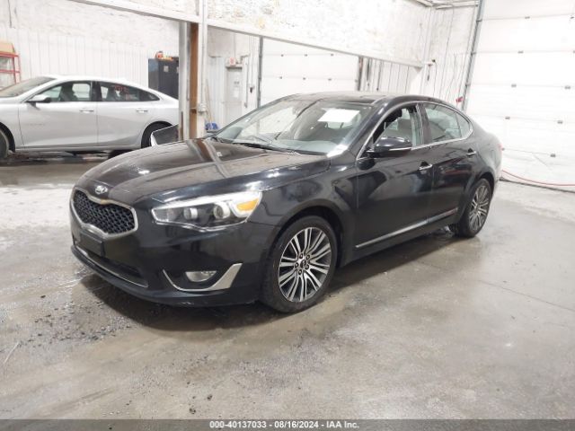 KNALN4D78F5173237 KIA Cadenza Premium