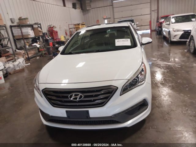 5NPE34AF5GH376956 Hyundai Sonata Limited