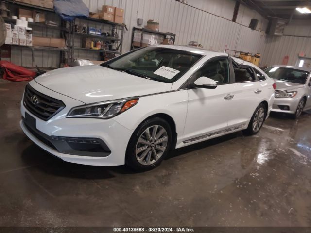 5NPE34AF5GH376956 Hyundai Sonata Limited