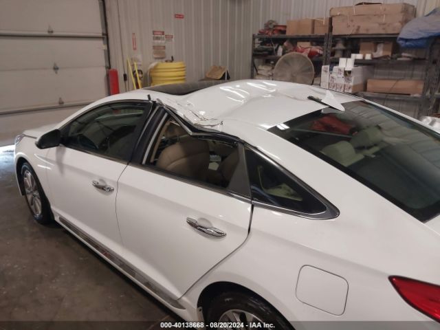 5NPE34AF5GH376956 Hyundai Sonata Limited