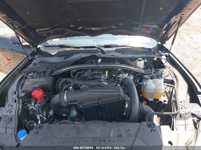 Ford Mustang Ecoboost Fastback 2024 1FA6P8TH8R5101587 Image 10
