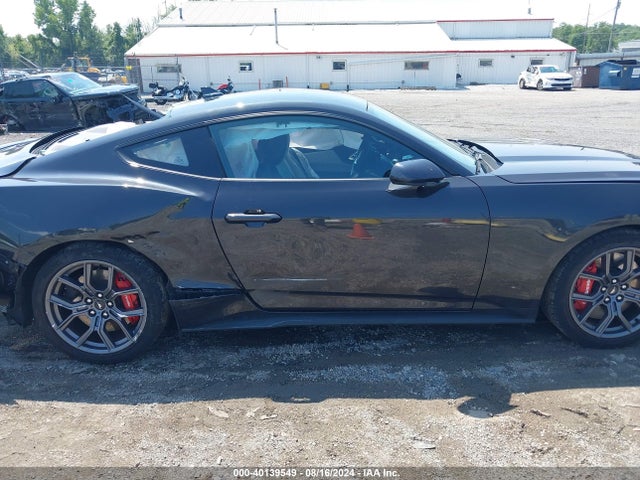 Ford Mustang Ecoboost Fastback 2024 1FA6P8TH8R5101587 Image 13