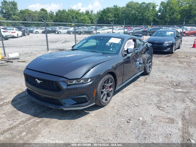Ford Mustang Ecoboost Fastback 2024 1FA6P8TH8R5101587 Image 2