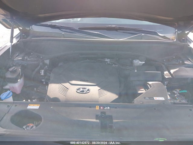 Hyundai Palisade Xrt 2024 KM8R3DGE3RU674877 Image 10