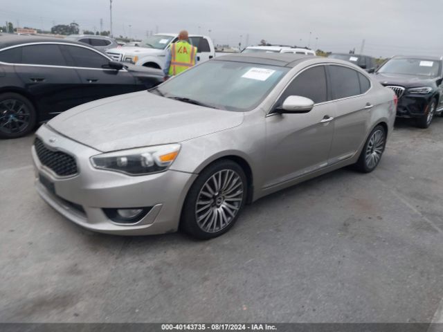 KNALN4D77E5131883 KIA Cadenza Premium