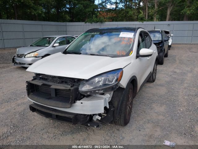 1FMCU0H65MUA56956 Ford ESCAPE SEL