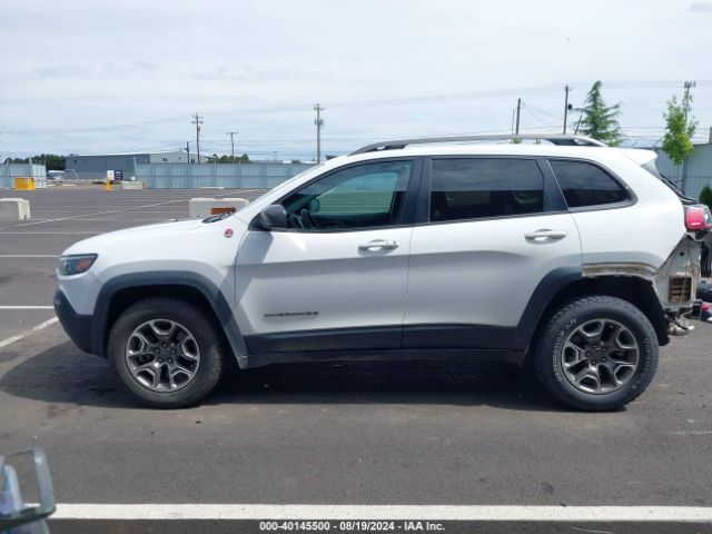 1C4PJMBX6LD604579 Jeep Cherokee Trailhawk 4x4