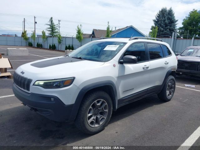 1C4PJMBX6LD604579 Jeep Cherokee Trailhawk 4x4