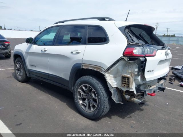 1C4PJMBX6LD604579 Jeep Cherokee Trailhawk 4x4