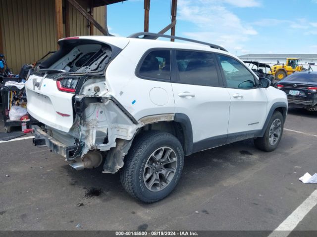 1C4PJMBX6LD604579 Jeep Cherokee Trailhawk 4x4
