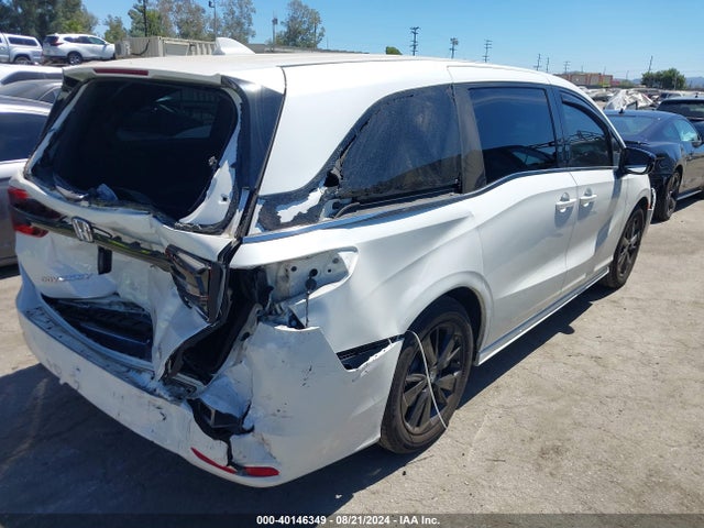 Honda Odyssey Sport 2023 5FNRL6H73PB005482 Image 6