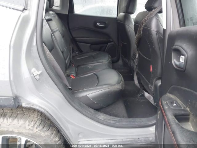 3C4NJDDB8LT112039 Jeep Compass Trailhawk 4x4