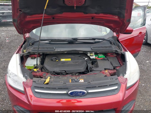 Ford ESCAPE SE 2014 1FMCU0GX3EUC58562 Image 10