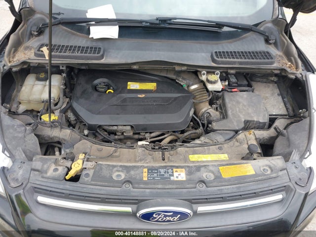 Ford ESCAPE SE 2014 1FMCU0GX6EUB30042 Image 10