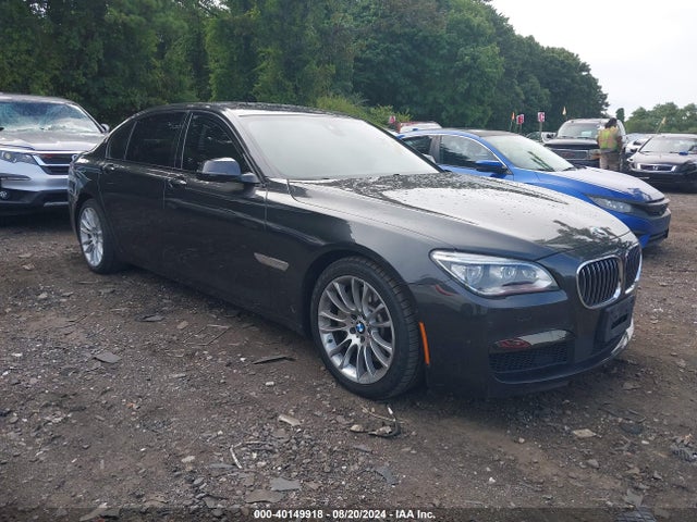 2015 WBAYF8C55FD654613 главное изображение