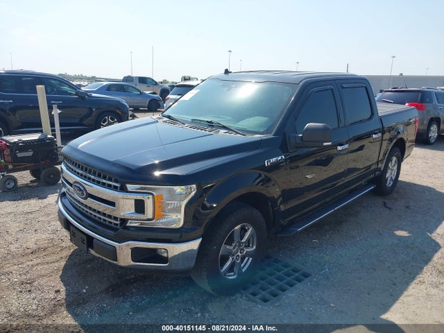 Ford F-150 Xlt 2019 1FTEW1CP2KKD44469 Image 2