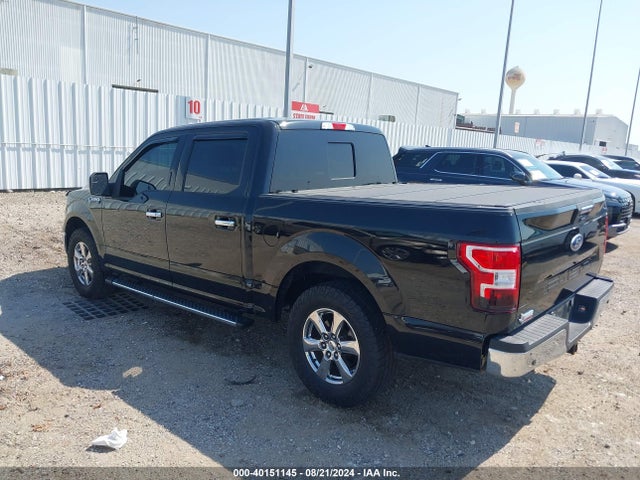 Ford F-150 Xlt 2019 1FTEW1CP2KKD44469 Image 3