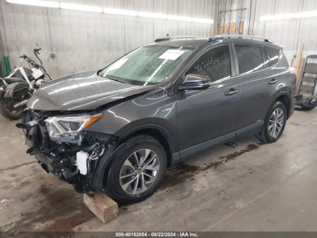 JTMRJREV5JD169986 Toyota Rav4 Hybrid Xle